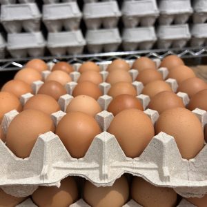 Eggs
